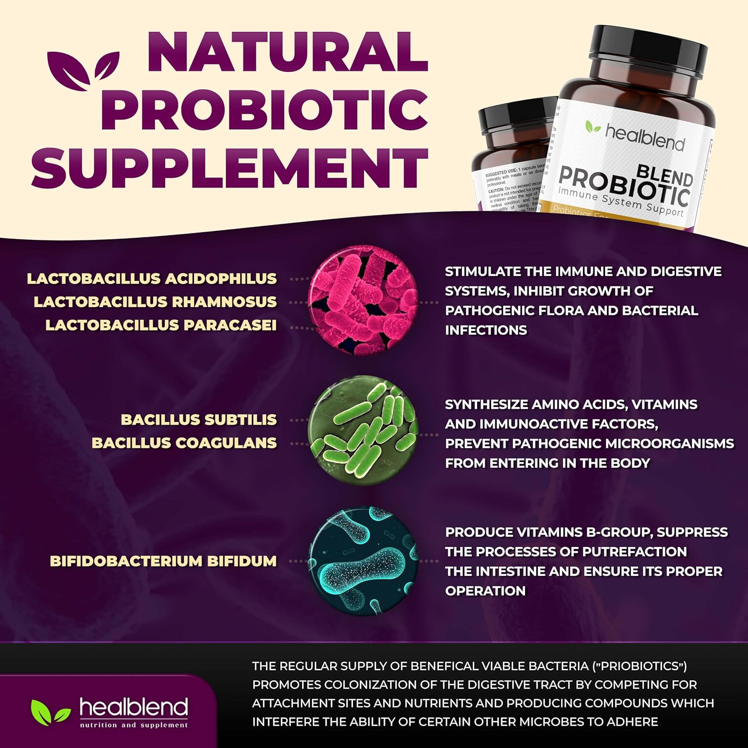 Digestive Health Probiotic Capsules for Men and Women - Immune System Support, Non-GMO, Gluten-Free - 120 Veg Caps