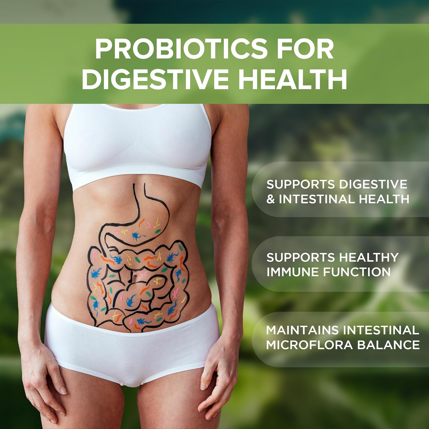 Digestive Health Probiotic Supplement Tablets with 3 Billion CFU - Natural Foundation Support for Men & Women - Made in USA (240 Count)