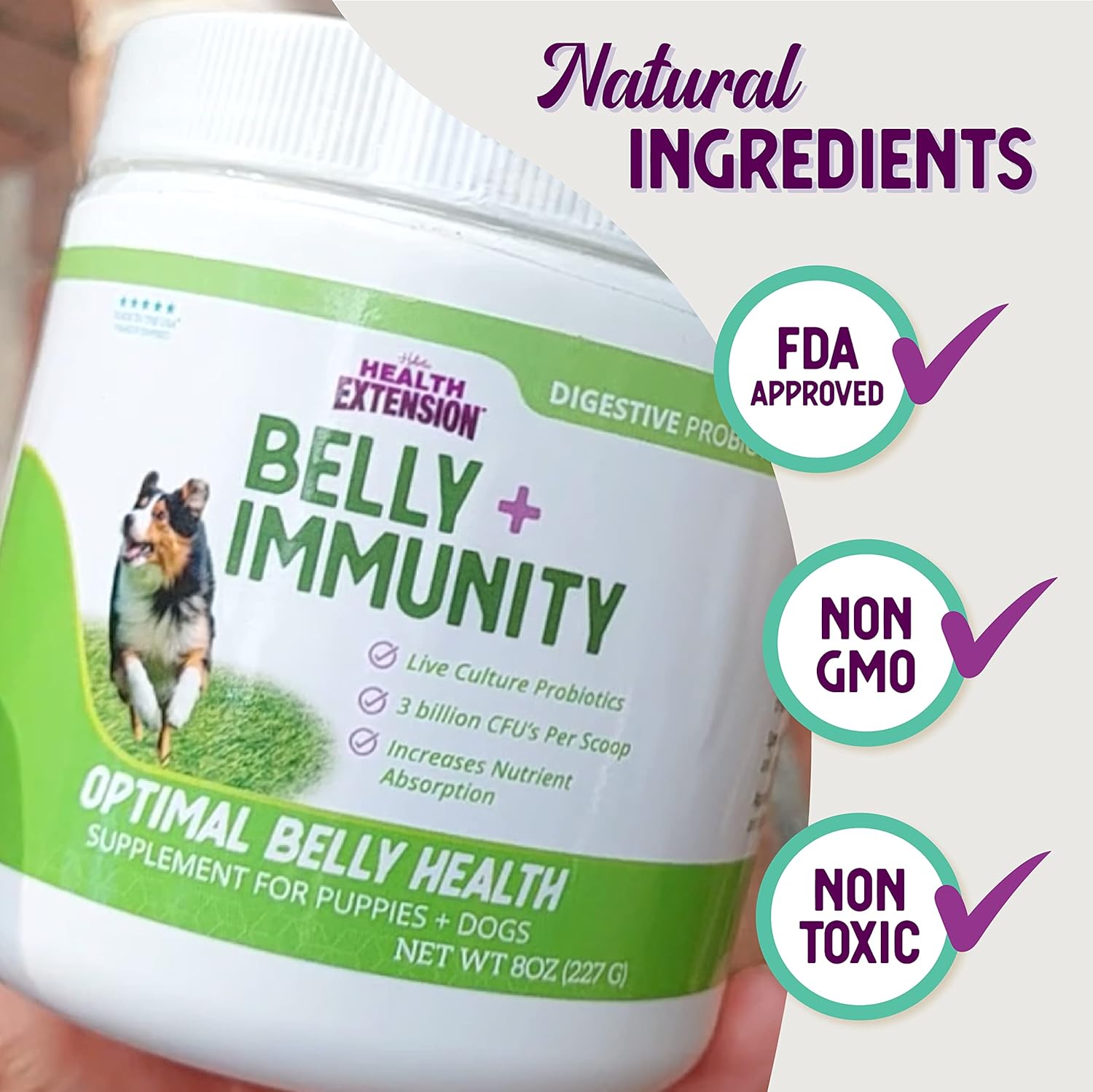 Digestive Probiotic for Dogs & Puppies - Supports Belly & Immunity, 3 Billion CFUs, Natural Ingredients