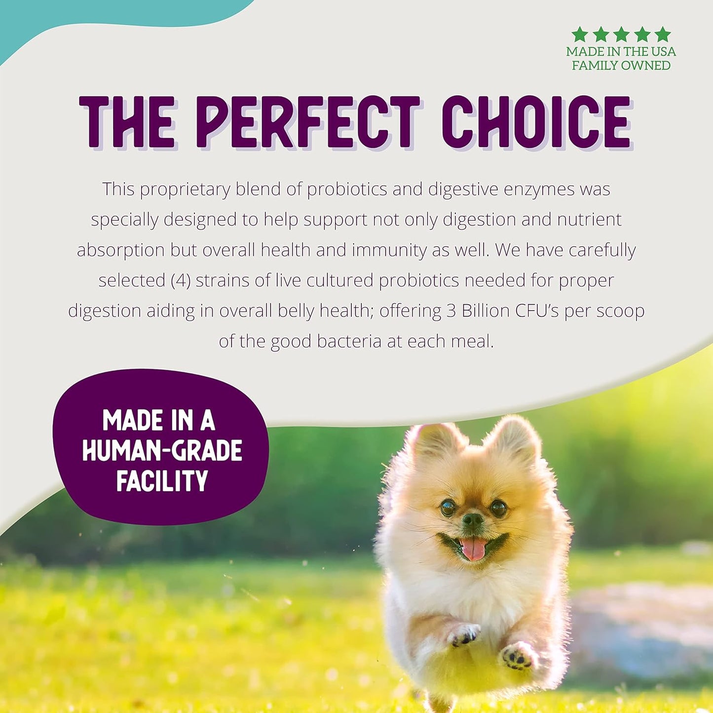 Digestive Probiotic for Dogs & Puppies - Supports Belly & Immunity, 3 Billion CFUs, Natural Ingredients