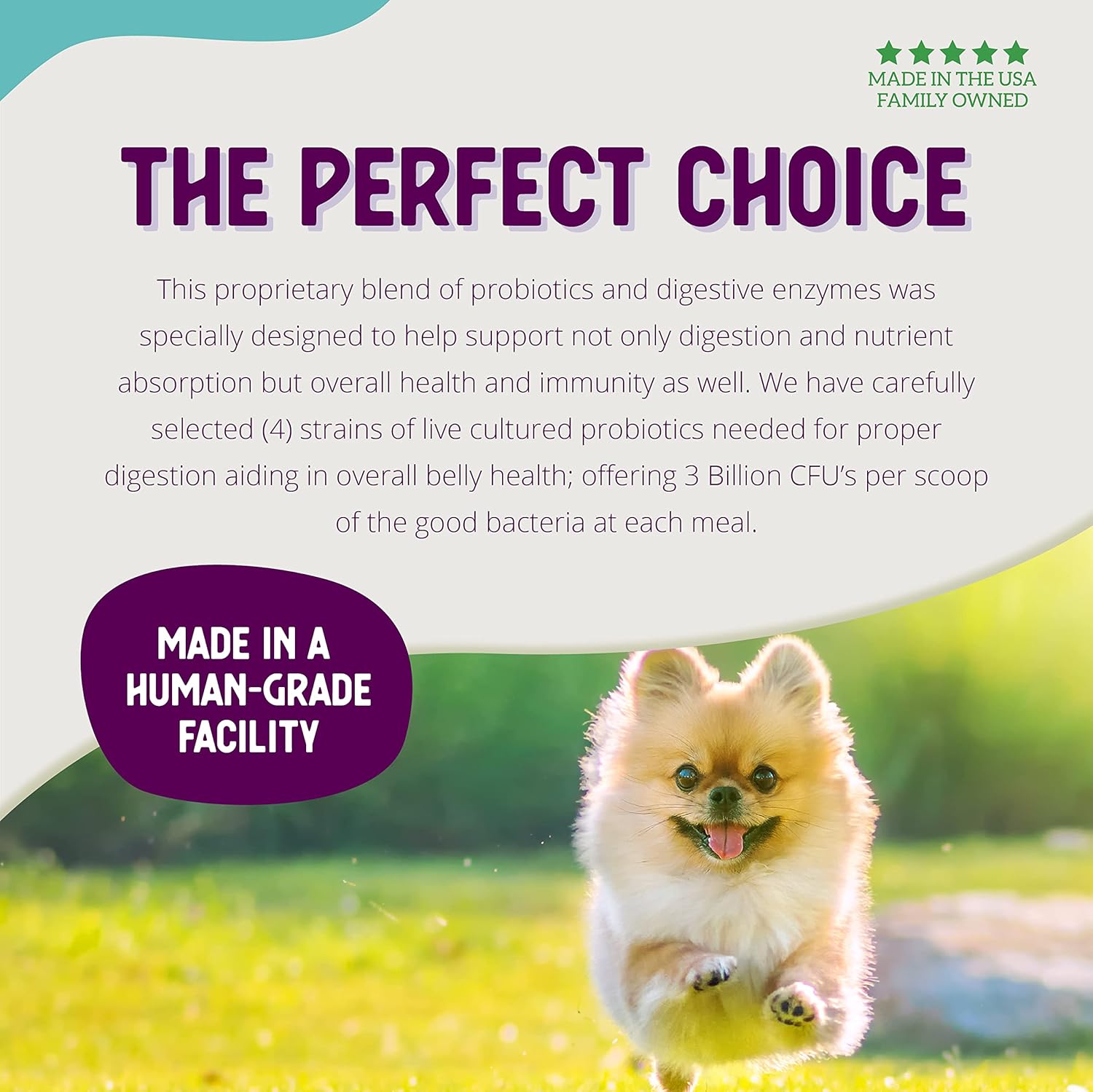 Digestive Probiotic for Dogs & Puppies - Supports Belly & Immunity, 3 Billion CFUs, Natural Ingredients