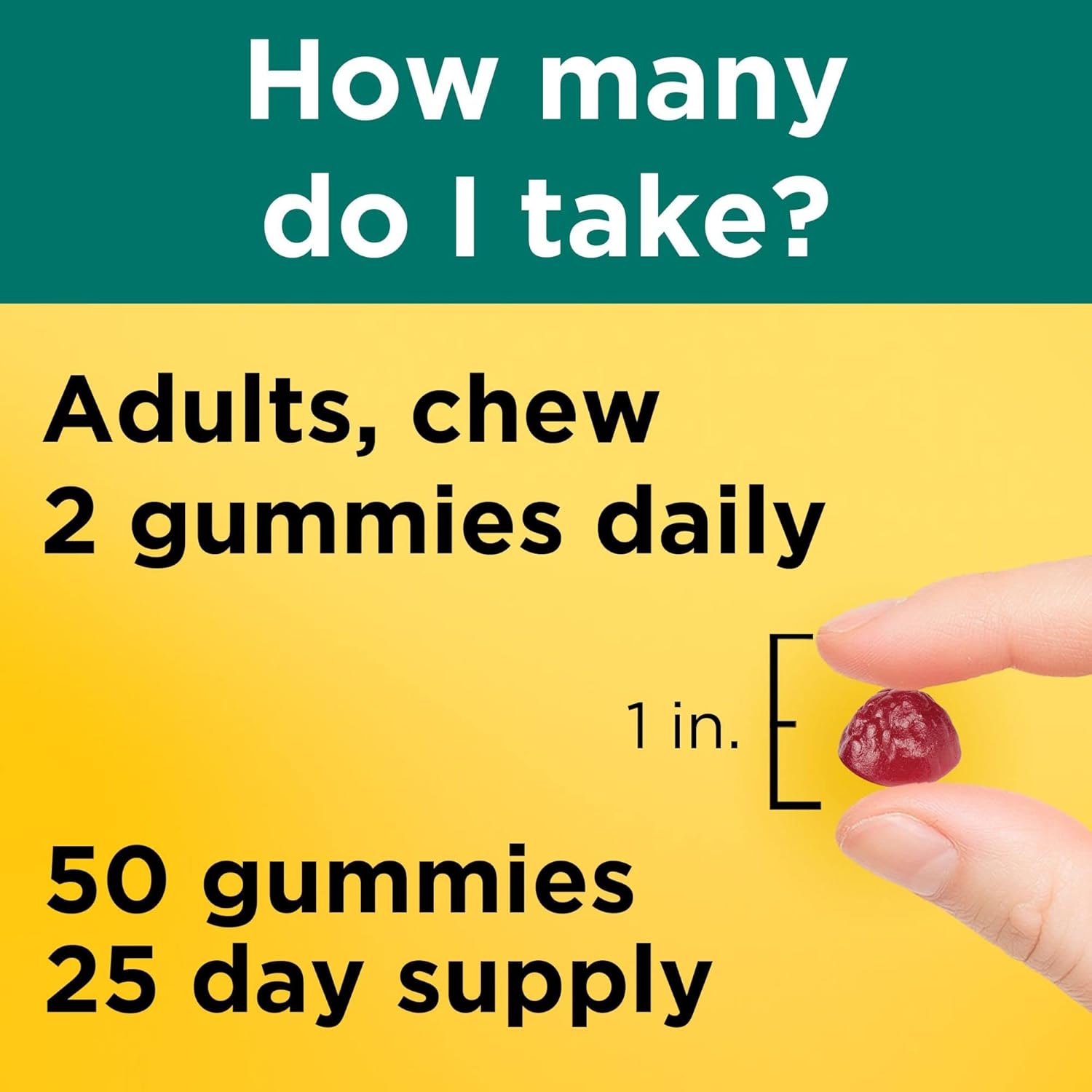 Digestive Probiotics and Energy B12 Gummies for Women and Men - 50 Gummies, 25 Day Supply