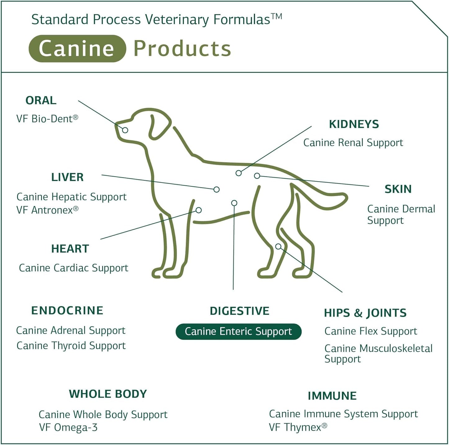 Digestive System Support for Dogs - Nutritional Supplement for Gut Health - Canine Enteric Formula for Healthy Digestion - 110g