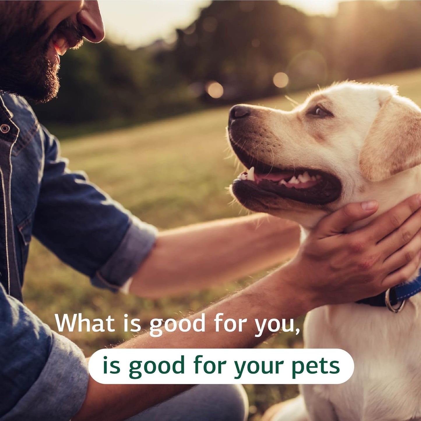 Digestive System Support for Dogs - Nutritional Supplement for Gut Health - Canine Enteric Formula for Healthy Digestion - 110g