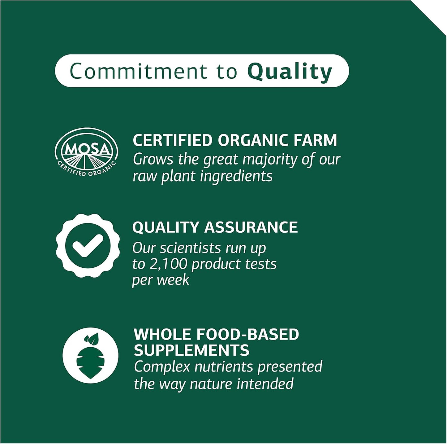 Digestive System Support for Dogs - Nutritional Supplement for Gut Health - Canine Enteric Formula for Healthy Digestion - 110g