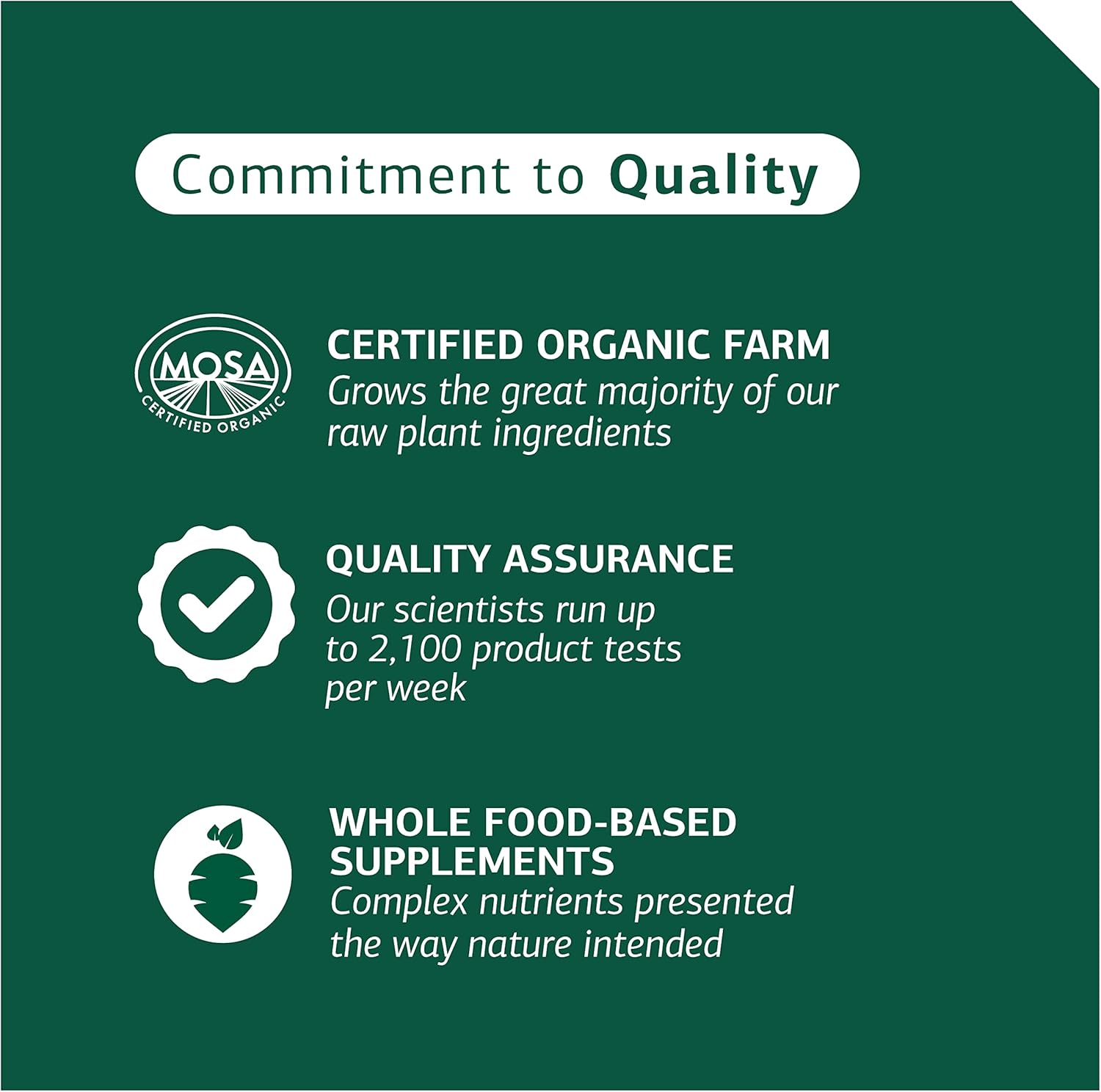 Digestive System Support for Dogs - Nutritional Supplement for Gut Health - Canine Enteric Formula for Healthy Digestion - 110g