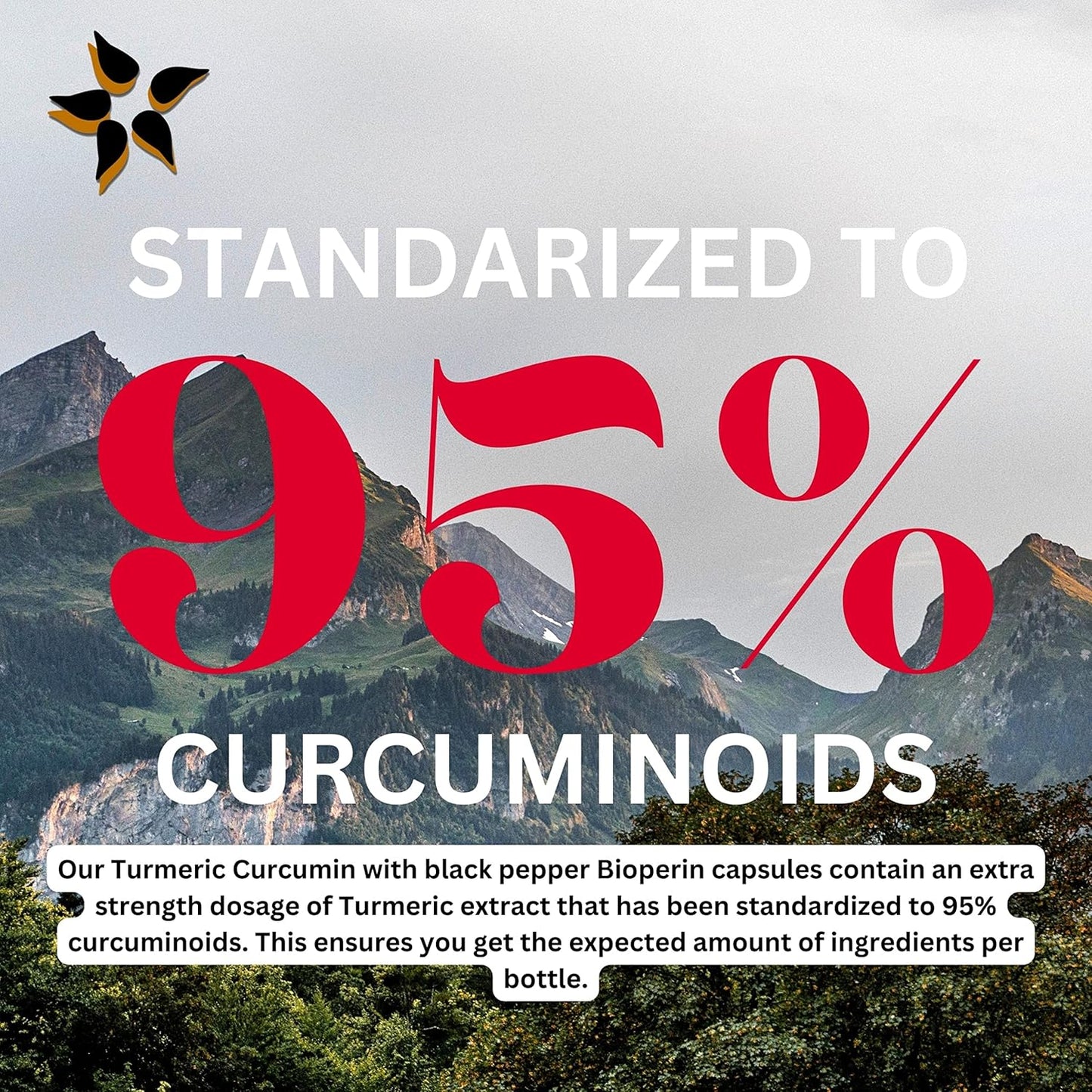 Discover the Power of Sweet Sunnah Black Seed Turmeric Capsules with Curcumin, Ginger, and Bioperine for Maximum Benefits - 60 Veggie Capsules