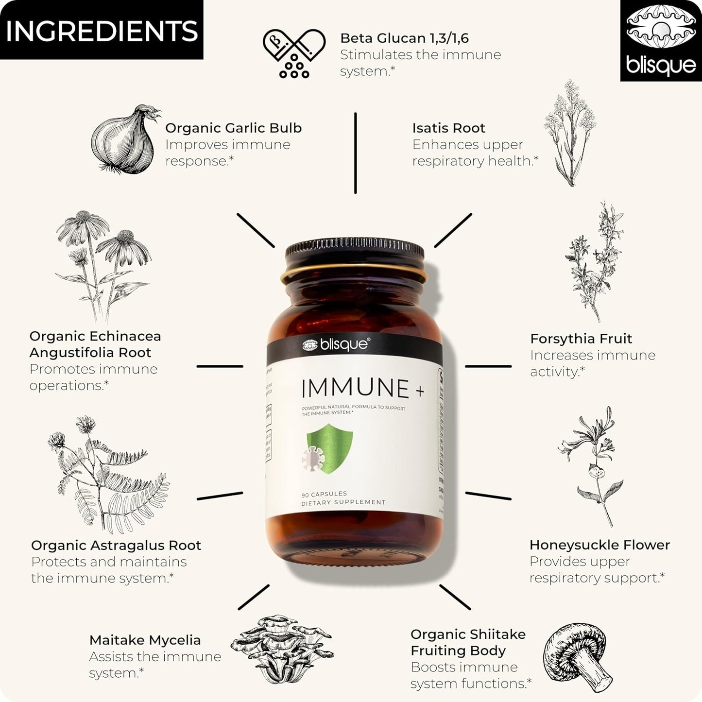 Doctor-Approved Blisque Immune Support Supplement with Astragalus, Echinacea, Garlic - Vegan & Non-GMO - 90 Capsules for Immune Defense Boost