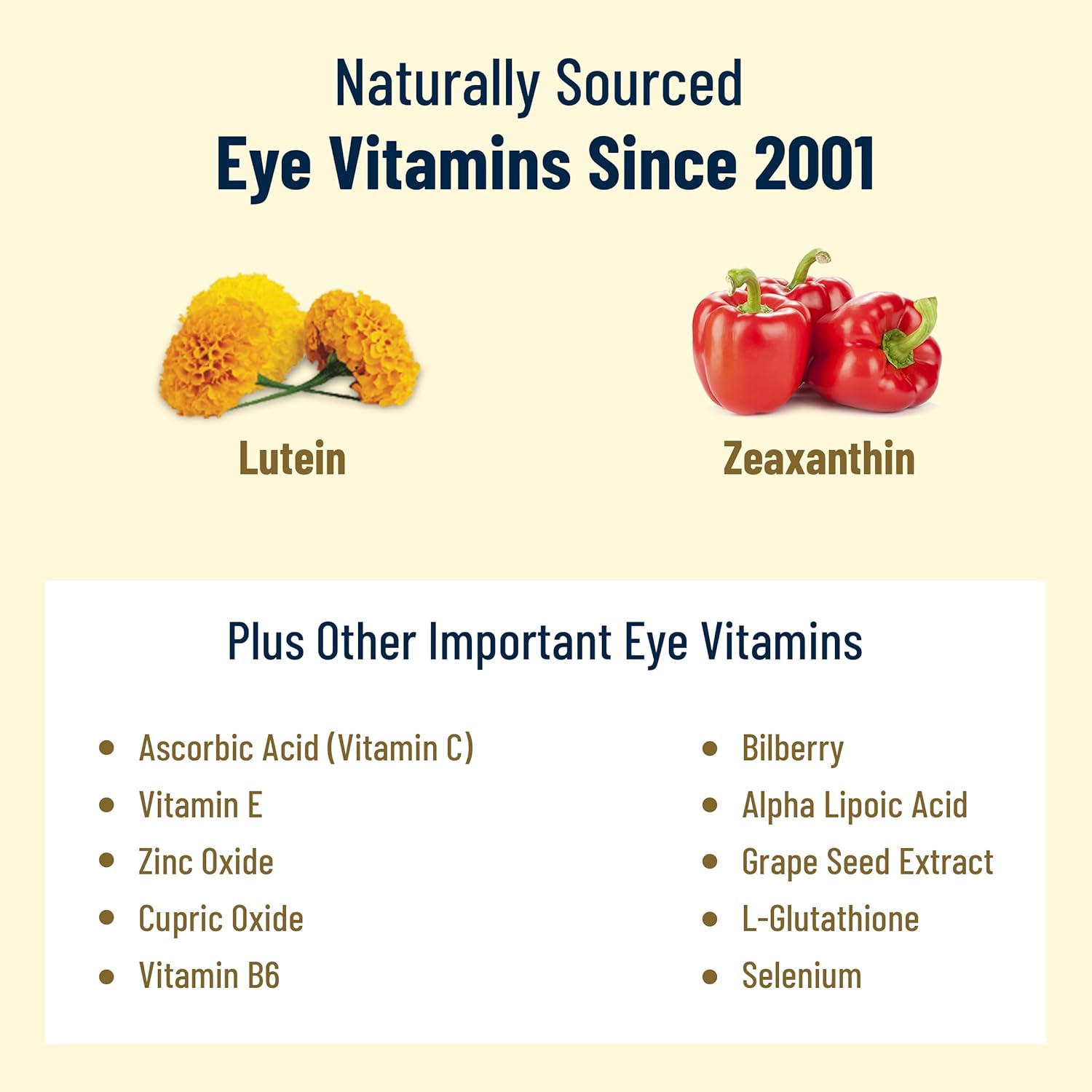 Doctor Formulated AREDS 2 Plus Eye Vitamins with Zeaxanthin, Lutein, Bilberry, and Grape Seed Extract - Macular Health Formula - 60 Capsules