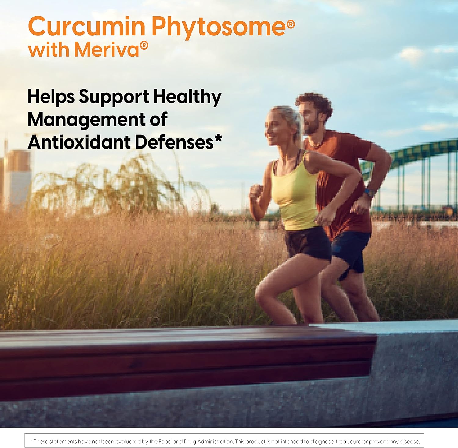 Doctor's Best Curcumin Phytosome Capsules - Bioavailable, Non-GMO, Gluten-Free, Soy-Free, Vegan - 60 Count