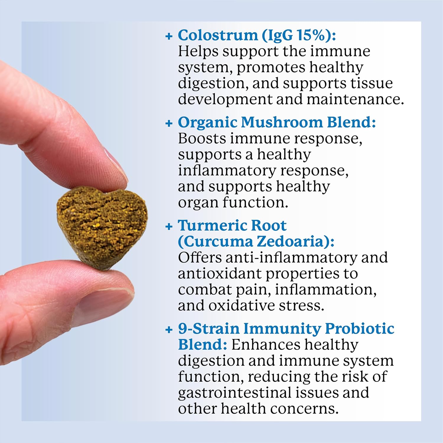 Dog Allergy & Anti-Itch Relief Soft Chew Supplement Bites with Functional Mushrooms & Probiotics