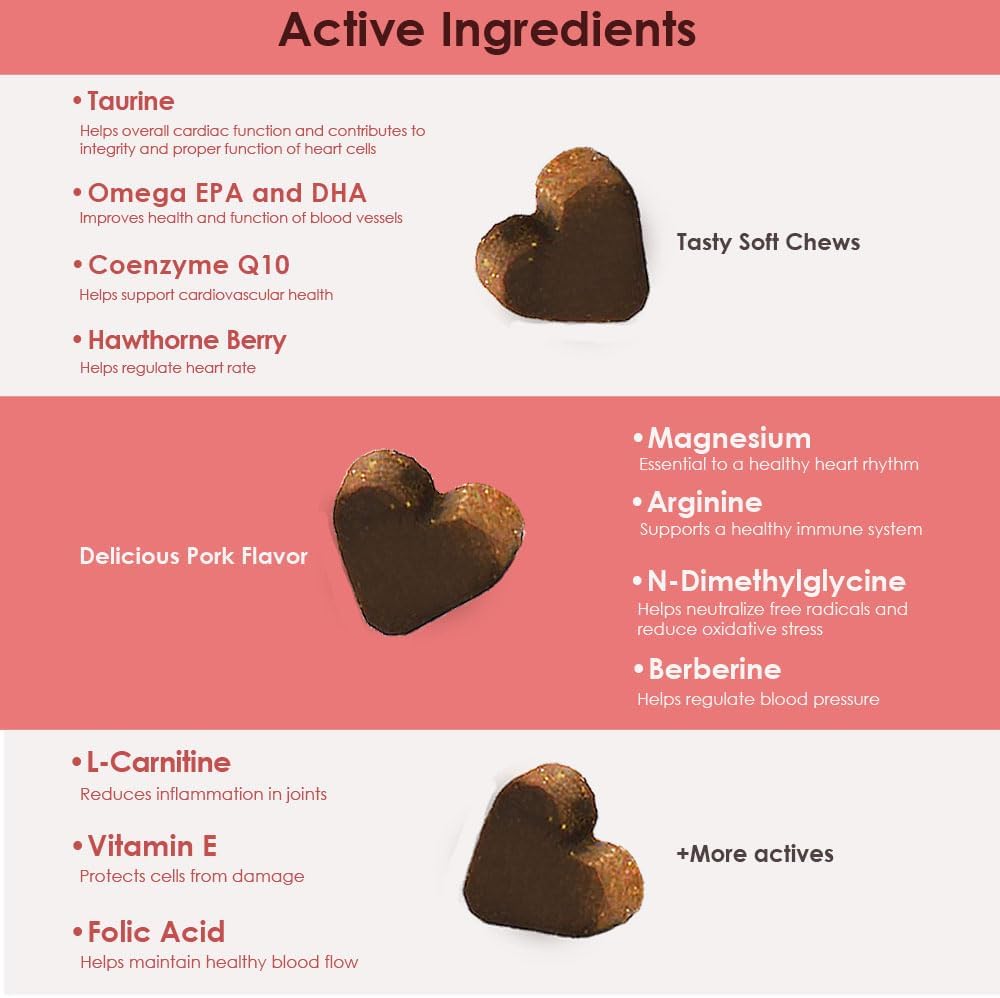 Dog Heart Health Supplement with L-Taurine, L-Carnitine, EPA, DHA, Coenzyme Q10 - Supports Circulatory Strength, Cardiovascular Health - 60 Soft Chews