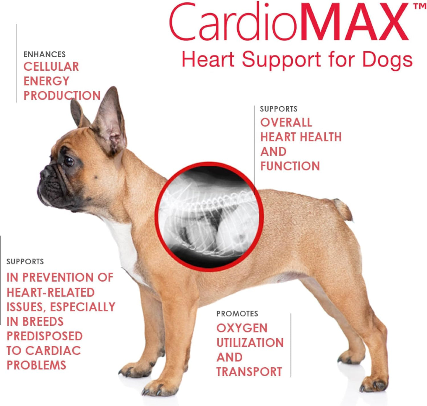 Dog Heart Health Supplement with L-Taurine, L-Carnitine, EPA, DHA, Coenzyme Q10 - Supports Circulatory Strength, Cardiovascular Health - 60 Soft Chews