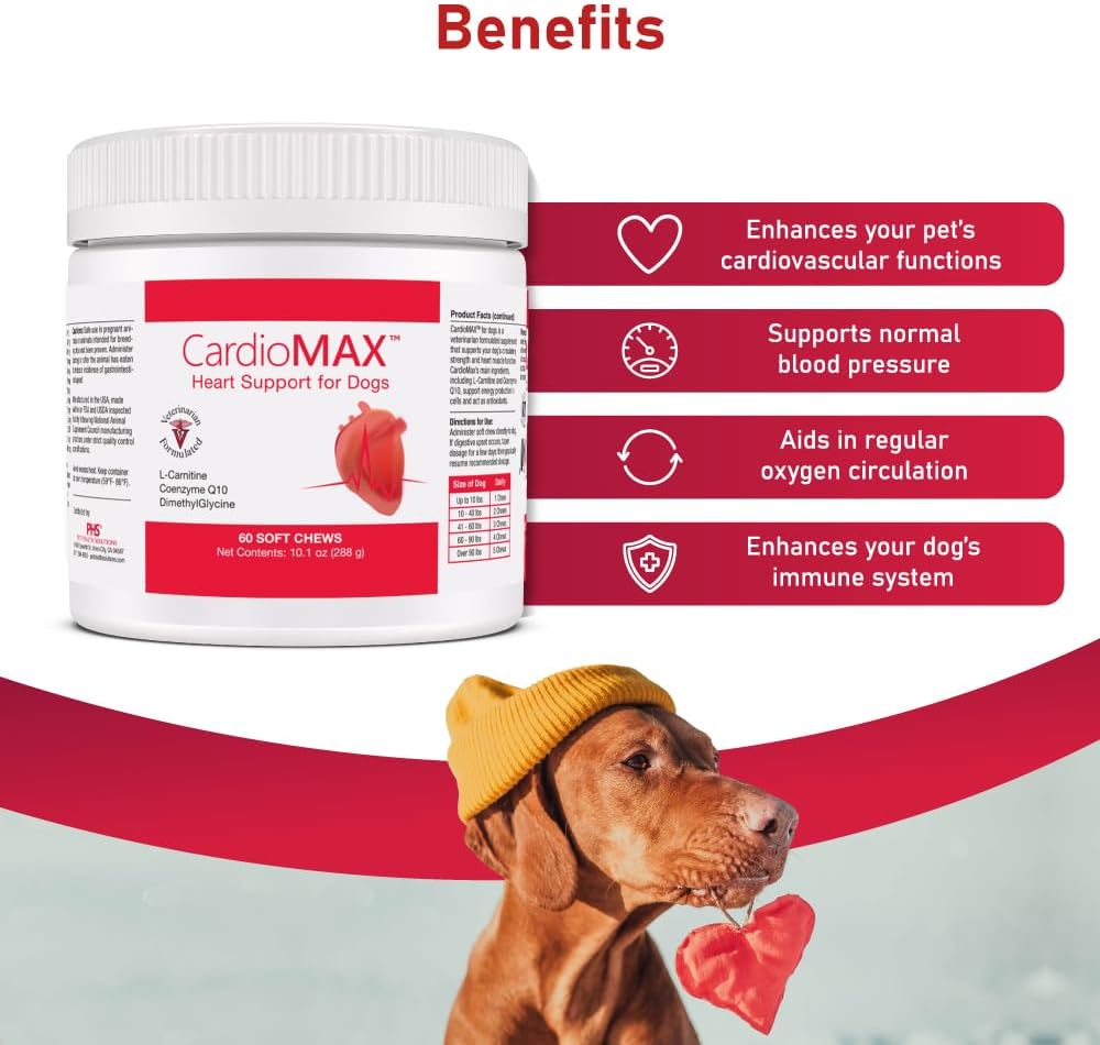 Dog Heart Health Supplement with L-Taurine, L-Carnitine, EPA, DHA, Coenzyme Q10 - Supports Circulatory Strength, Cardiovascular Health - 60 Soft Chews