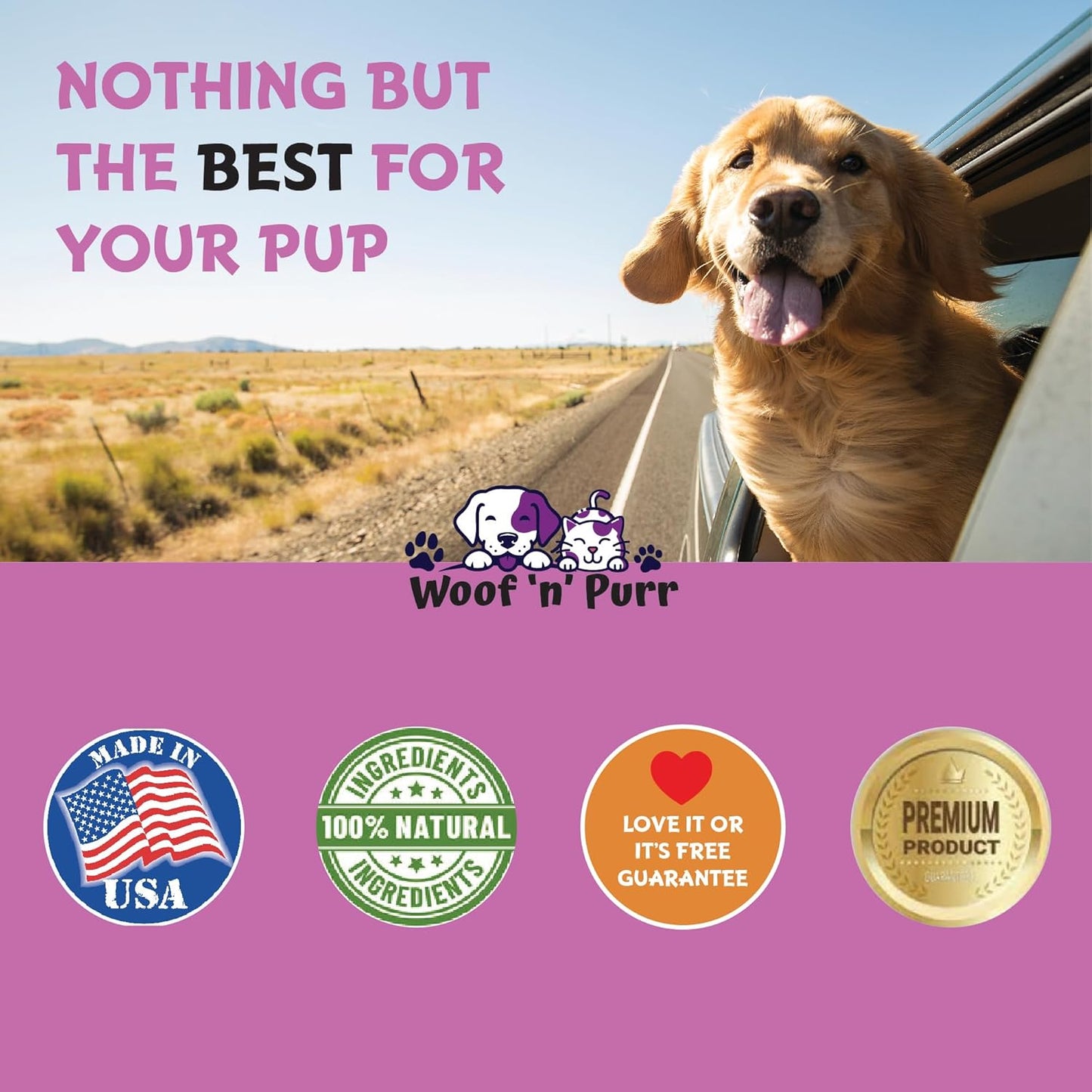 Dog Immune Support Supplement - Boost Your Dog's Immune System with Allergy Support - 1 fl oz