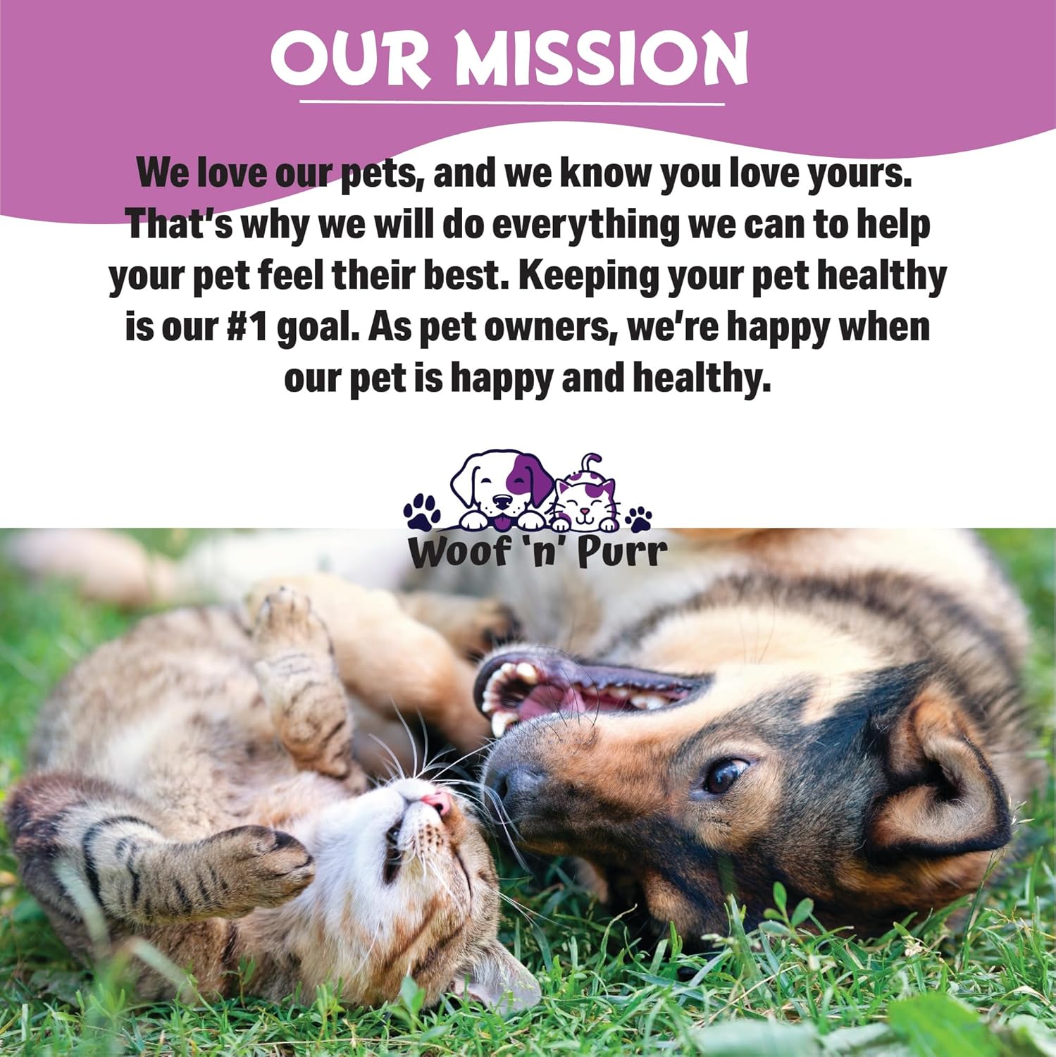 Dog Immune Support Supplement - Boost Your Dog's Immune System with Allergy Support - 1 fl oz