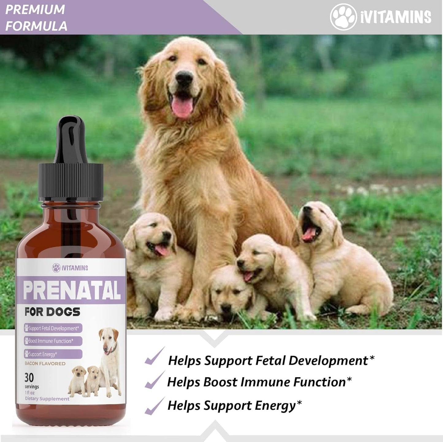 Dog Prenatal Vitamins with Vitamin B Complex & C | Essential Dog Whelping Supplies | 30 Servings