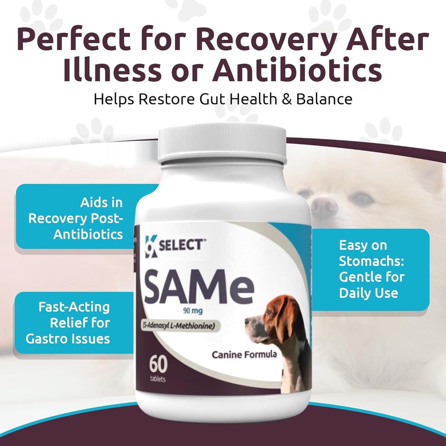 Dog Probiotic Chewable Tablets with Inulin for Healthy Digestion - 90 Count - Supports Nutrient Absorption - Digestive Enzymes for Dogs