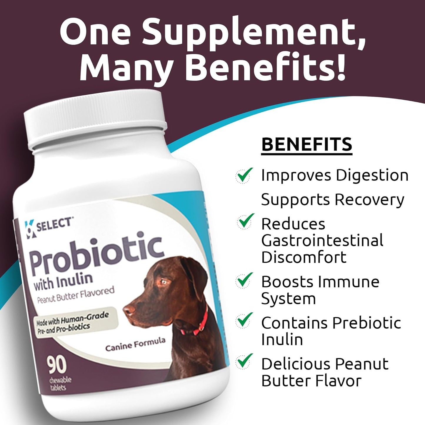 Dog Probiotic Chewable Tablets with Inulin for Healthy Digestion - 90 Count - Supports Nutrient Absorption - Digestive Enzymes for Dogs