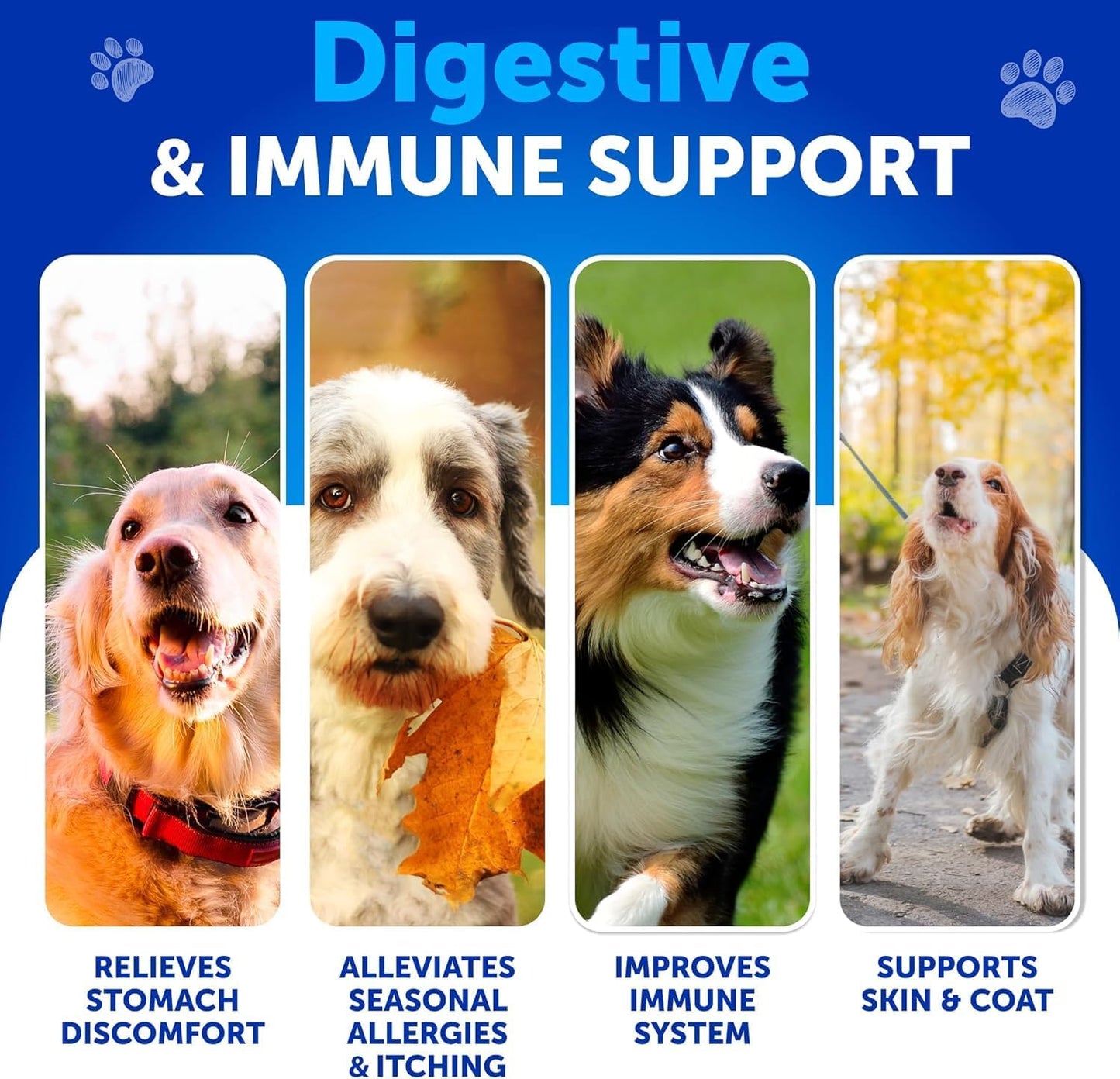 Dog Probiotic Chews for Gut Health, Skin Allergies & Immunity - With Prebiotics and Digestive Enzymes - Supports Yeast Balance and Reduces Diarrhea
