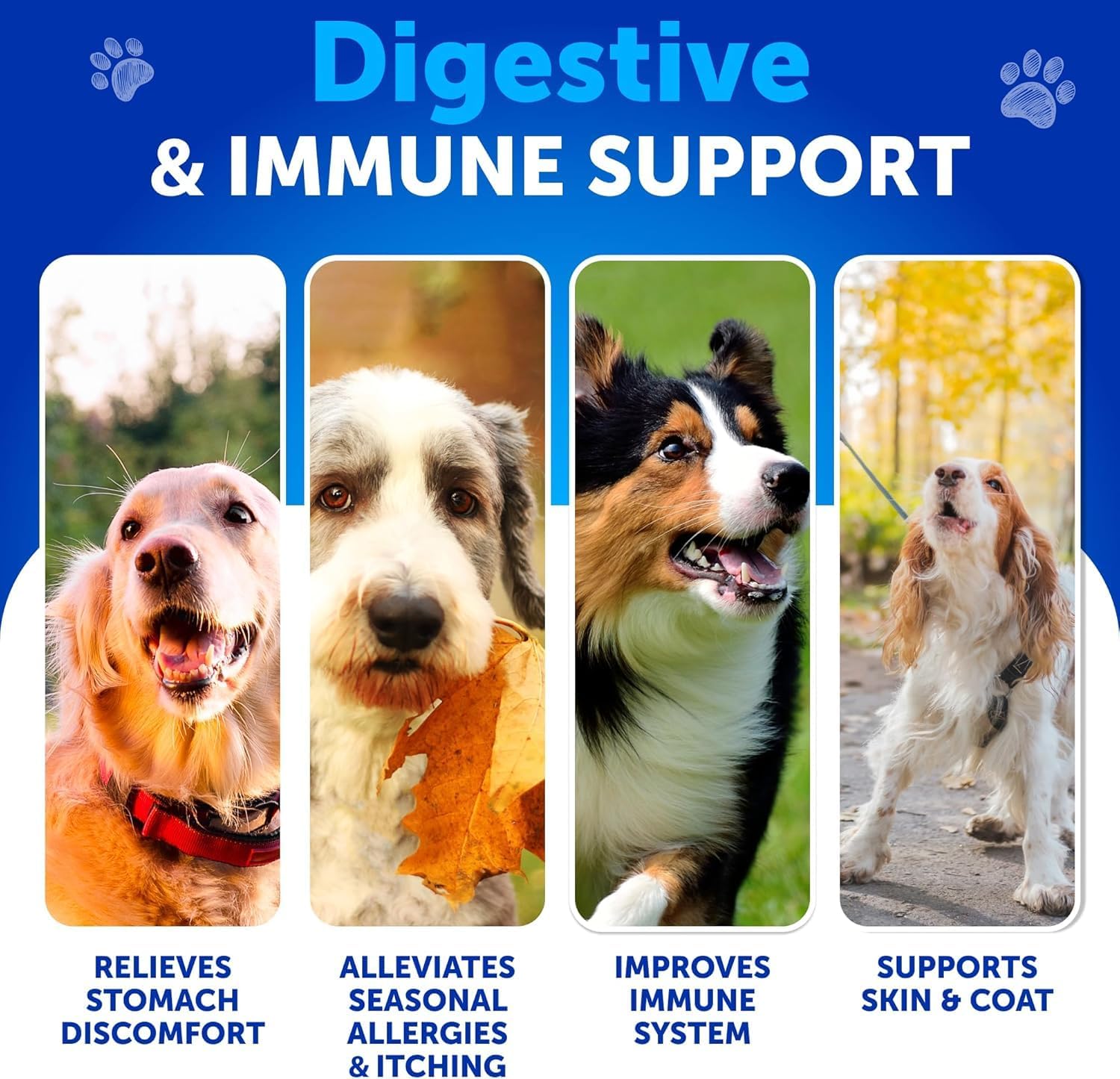 Dog Probiotic Chews for Gut Health, Skin Allergies & Immunity - With Prebiotics and Digestive Enzymes - Supports Yeast Balance and Reduces Diarrhea