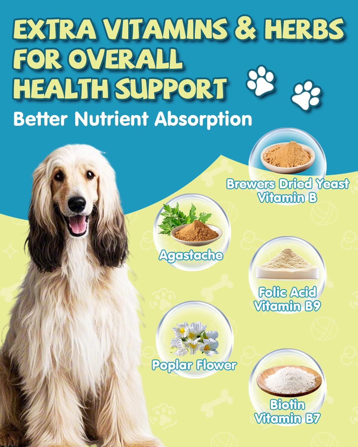 Dog Probiotic Chews with Prebiotics, Goat Milk, Omega 3, Vitamins - 120 Ct