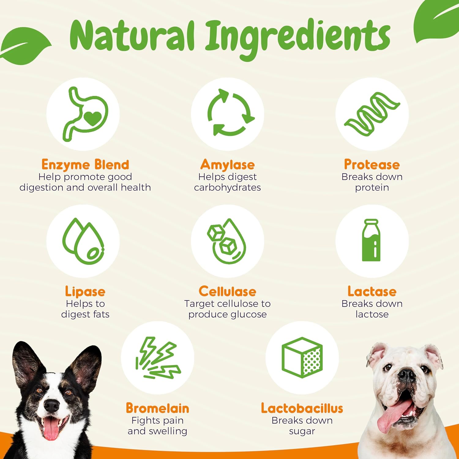 Dog Probiotic Digestive Enzymes Soft Chews - Gut Health, Diarrhea & Allergy Support - Pet Immune System Boost - 120 Chicken Flavored Chewables