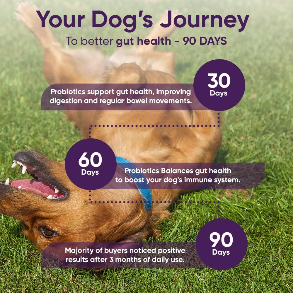 Dog Probiotic Supplement with Pumpkin for Digestive Health - 3-in-1 Formula with Digestive Enzymes - 90 Count