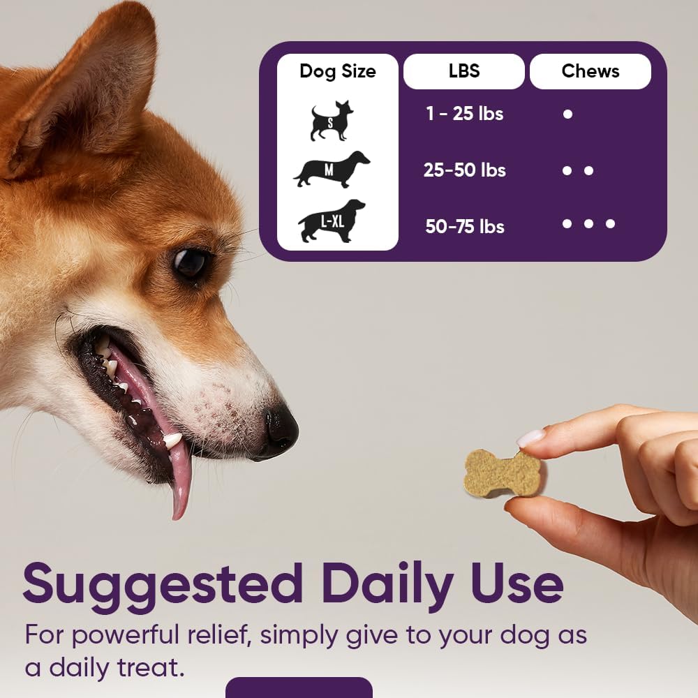 Dog Probiotic Supplement with Pumpkin for Digestive Health - 3-in-1 Formula with Digestive Enzymes - 90 Count