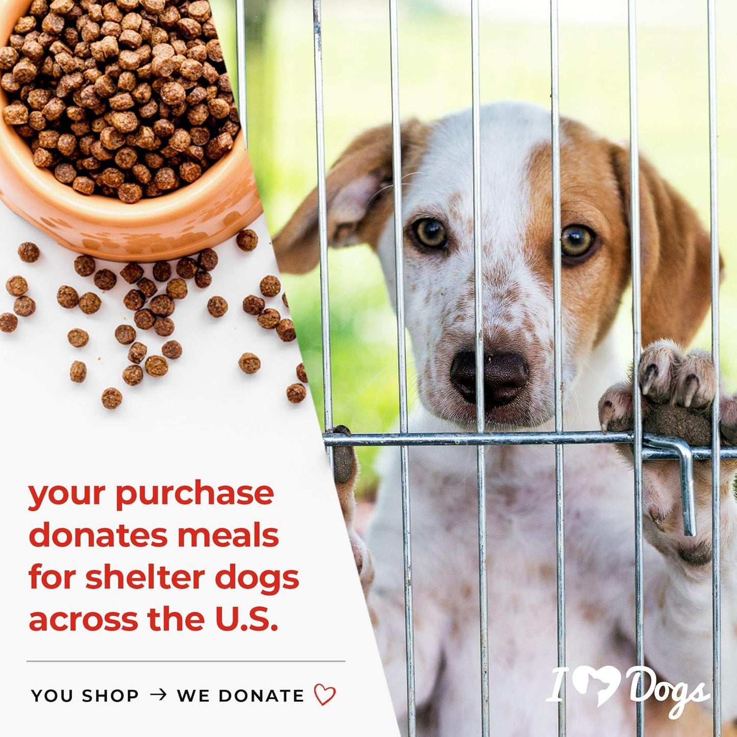 Dog Probiotic Supplement with Pumpkin for Digestive Health - 3-in-1 Formula with Digestive Enzymes - 90 Count