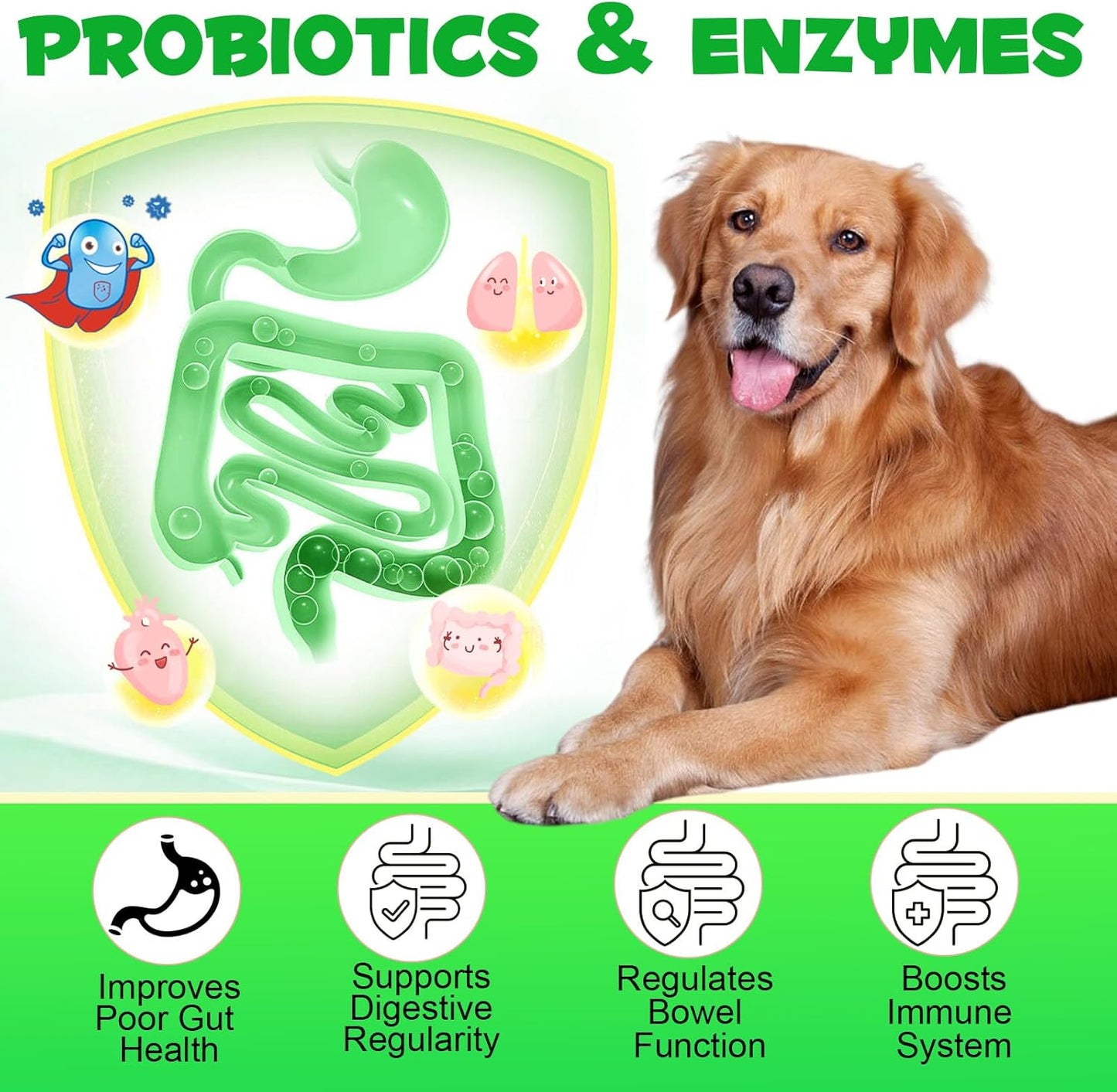 Dog Probiotics Chews with Digestive Enzymes for Gut and Immunity Support - 180 Count