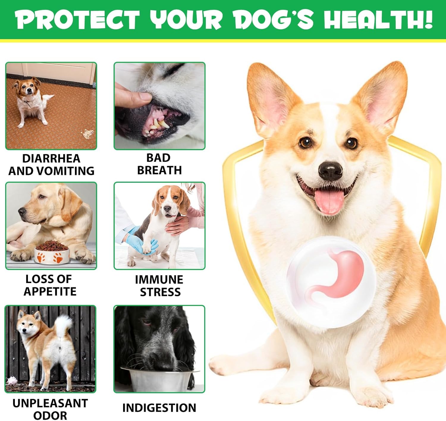 Dog Probiotics Chews with Digestive Enzymes for Gut and Immunity Support - 180 Count