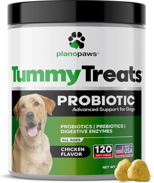 Dog Probiotics for Digestive Health and Allergy Relief - Puppy Probiotic Chews with Digestive Enzymes - Gut Health Support for Dogs with 120 Probiotic Treats