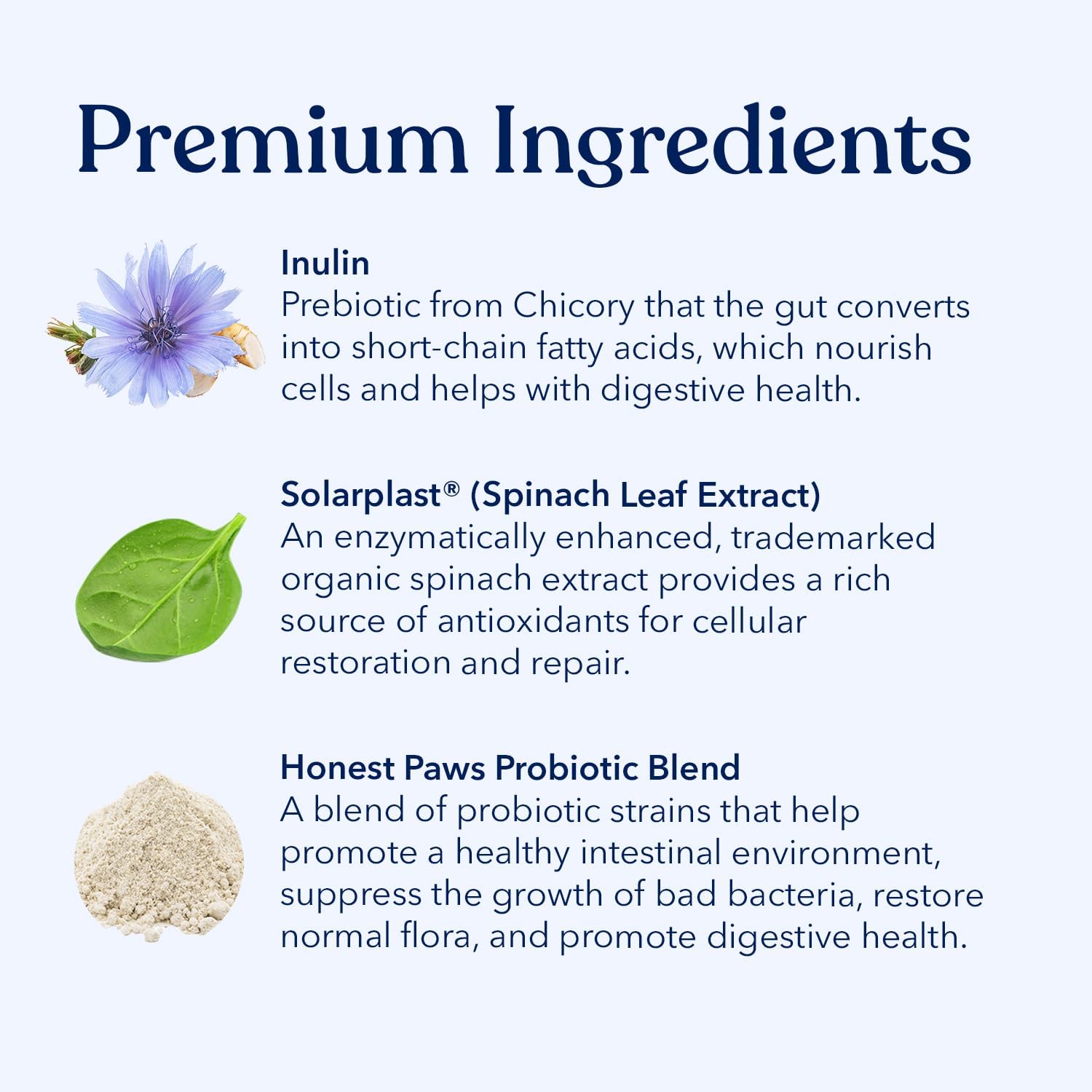 Dog Probiotics & Multivitamin with Glucosamine Chondroitin for Joint, Allergy, Immune, Gut, Digestive, Skin & Coat Support by Honest Paws
