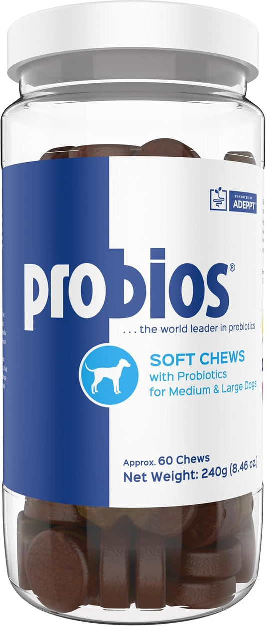 Dog Probiotics Soft Chews - 240g - Promotes Digestive Health - Relieves Discomfort - All-Natural Ingredients - Easy to Give to Dogs
