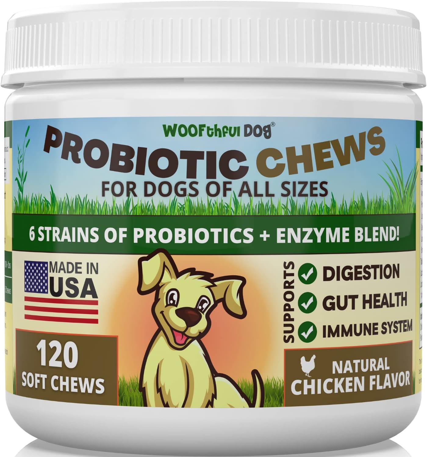 Dog Probiotics Soft Chews - Digestive & Immune Support for Dogs - 120 ct - Made in USA