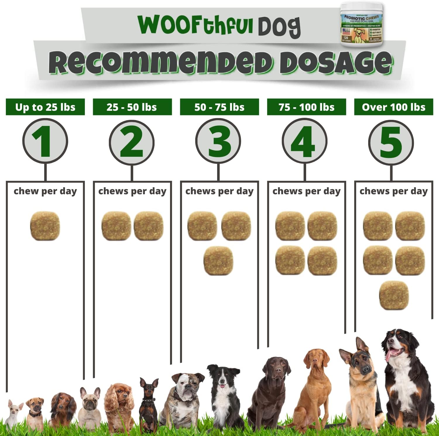 Dog Probiotics Soft Chews - Digestive & Immune Support for Dogs - 120 ct - Made in USA