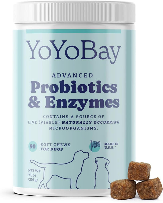 Dog Probiotics with Digestive Enzymes, 1 Billion CFUs, Gut & Digestive Health, Yeast Balance, Itchy Skin Relief, Immune Support - 90 Soft Chews