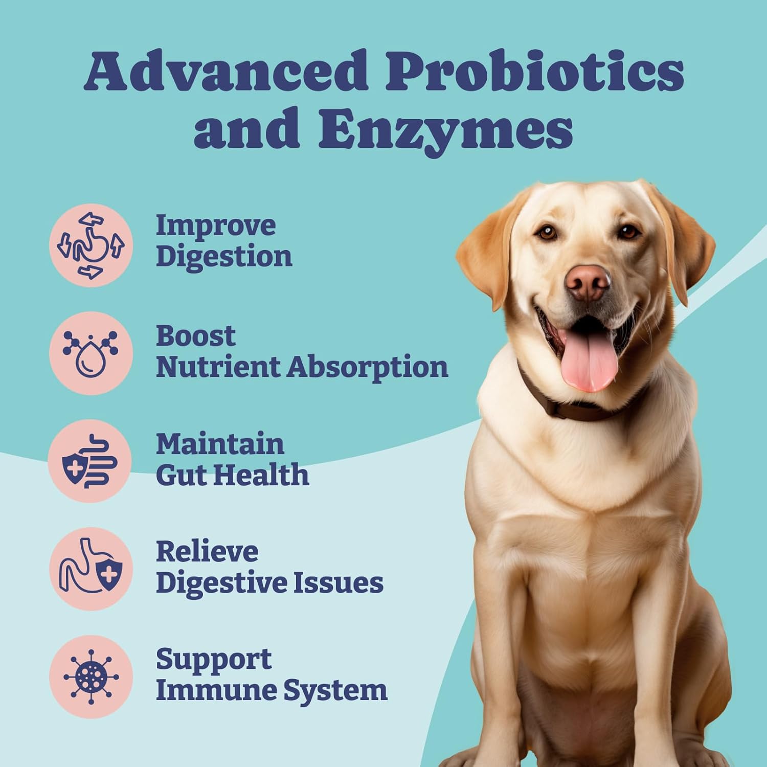 Dog Probiotics with Digestive Enzymes, 1 Billion CFUs, Gut & Digestive Health, Yeast Balance, Itchy Skin Relief, Immune Support - 90 Soft Chews
