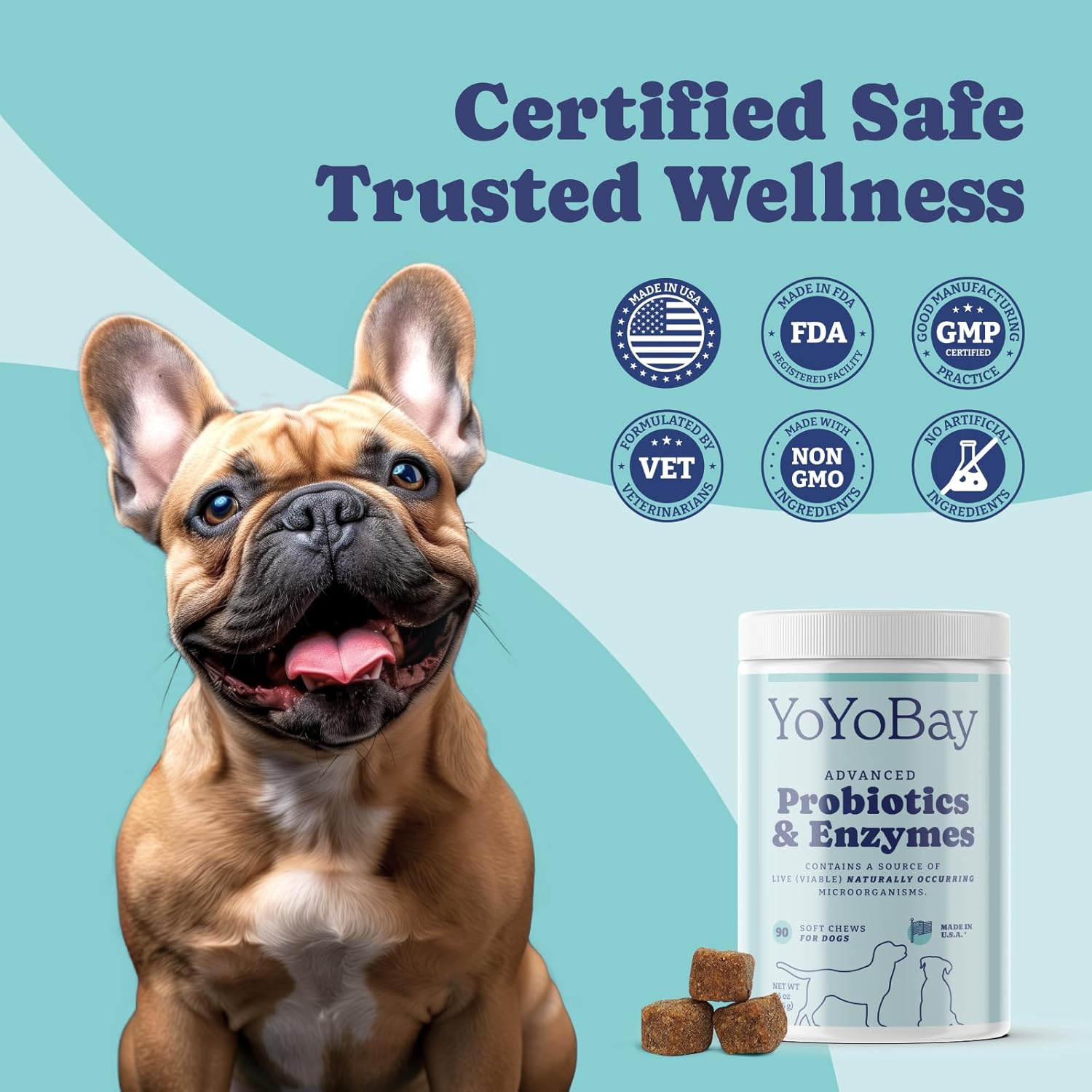 Dog Probiotics with Digestive Enzymes, 1 Billion CFUs, Gut & Digestive Health, Yeast Balance, Itchy Skin Relief, Immune Support - 90 Soft Chews