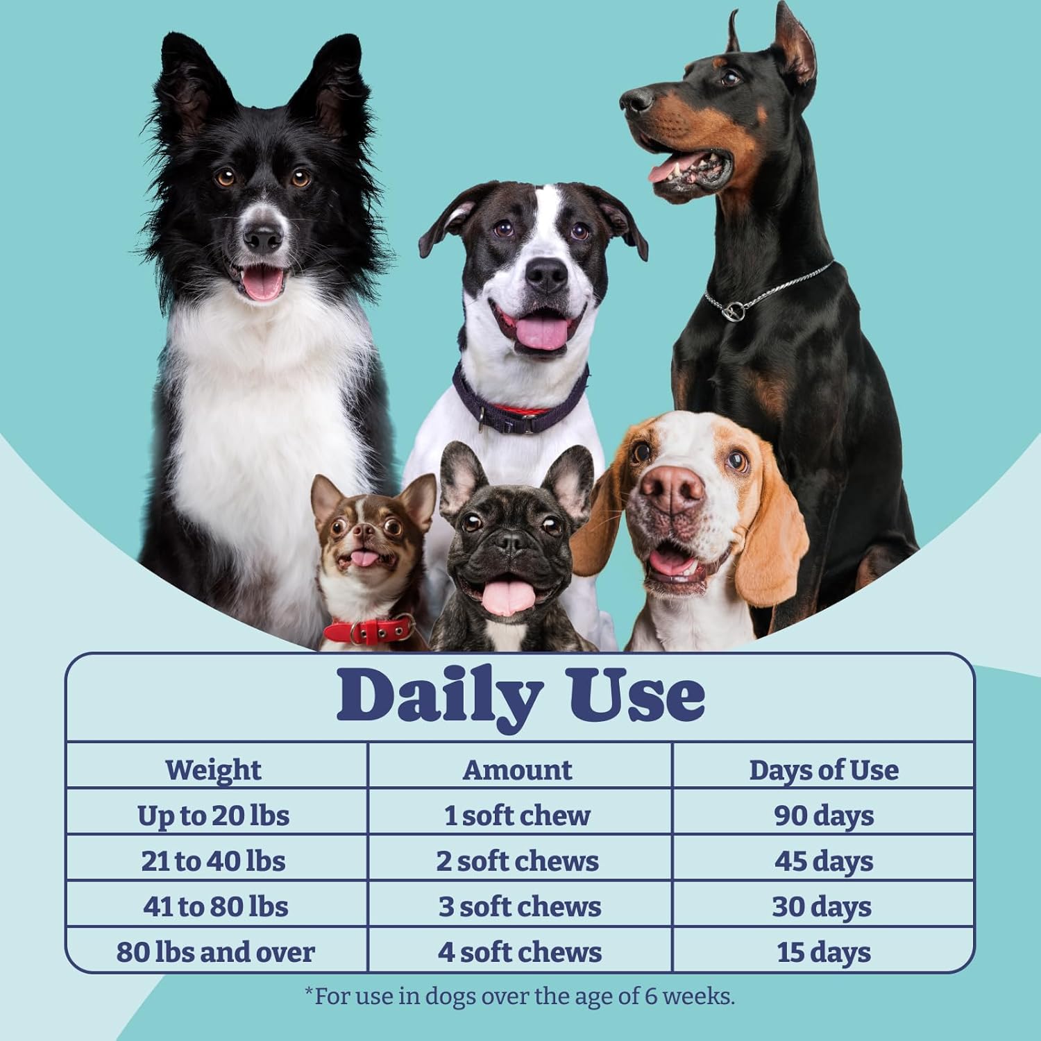 Dog Probiotics with Digestive Enzymes, 1 Billion CFUs, Gut & Digestive Health, Yeast Balance, Itchy Skin Relief, Immune Support - 90 Soft Chews