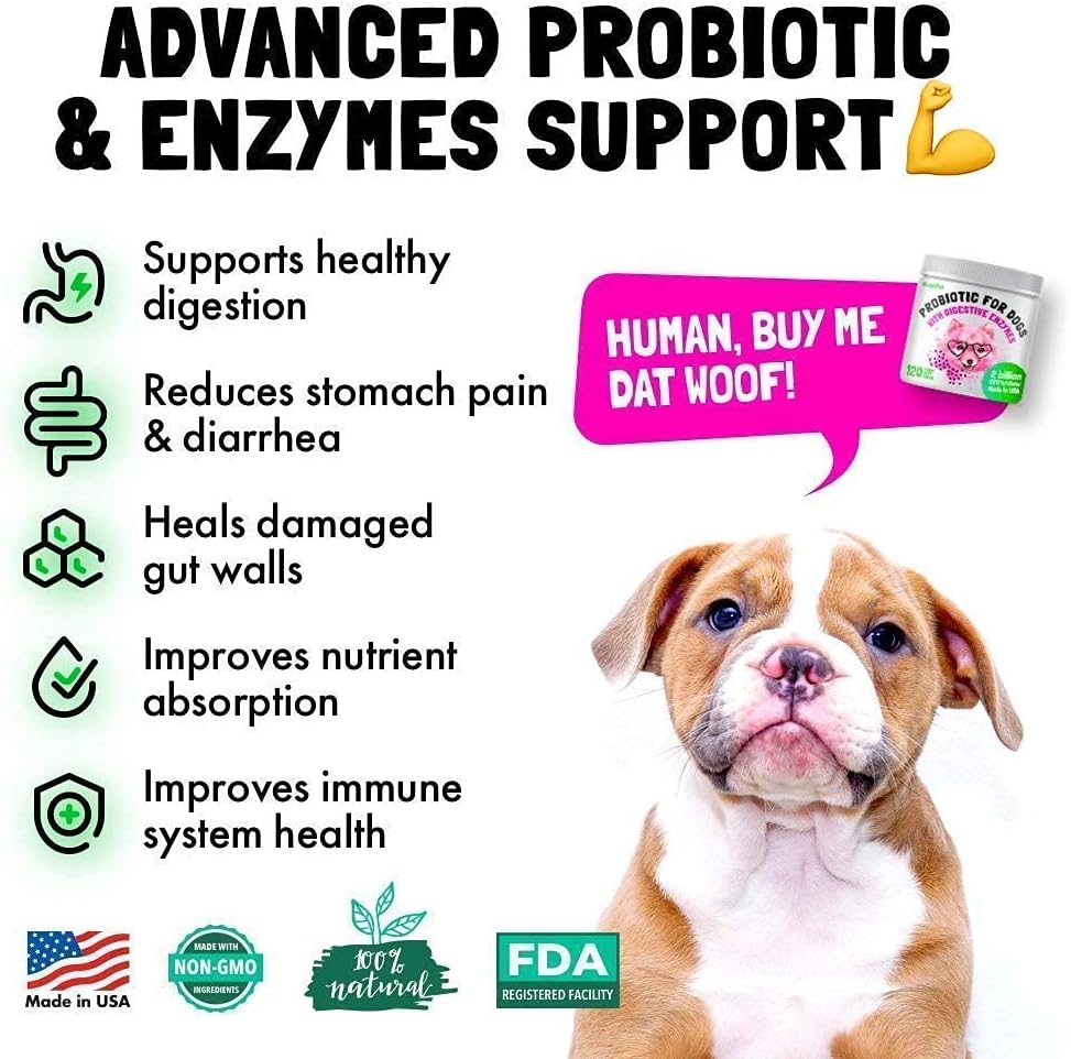 Dog Probiotics with Enzymes, Salmon Oil, and Paw Balm Bundle for Digestive Health and Skin Care