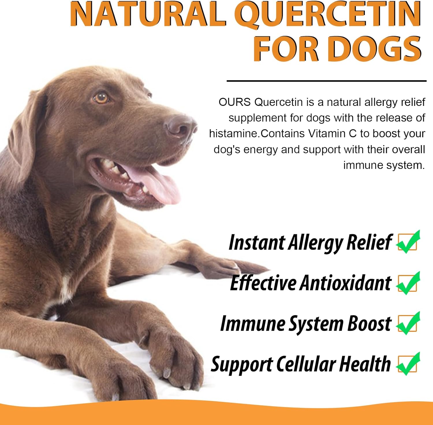 Dog Quercetin Liquid Drops Herbal Supplement for Allergy Relief, Cellular Health, Immune Boost - 60 ml