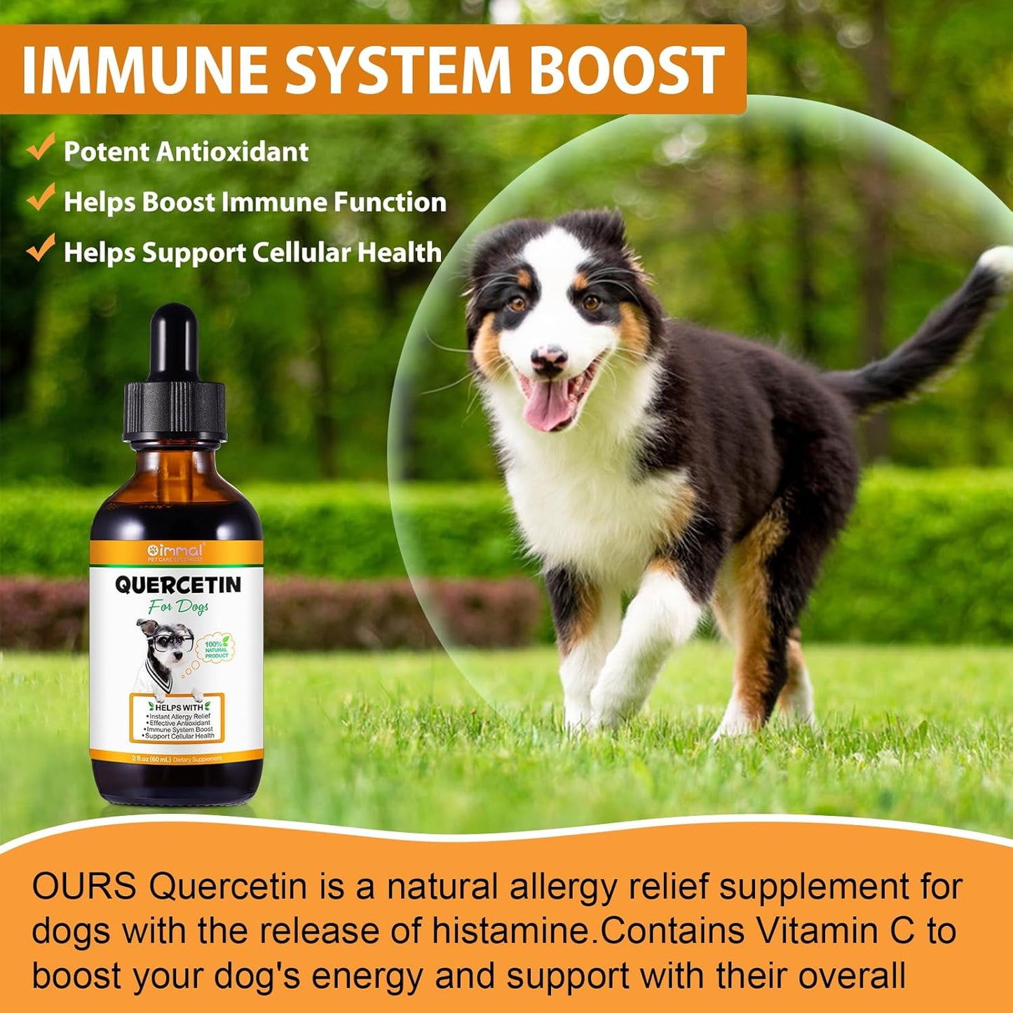 Dog Quercetin Liquid Drops Herbal Supplement for Allergy Relief, Cellular Health, Immune Boost - 60 ml
