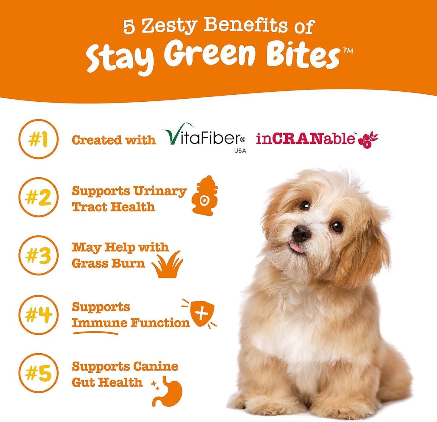 Dog Urine Grass Burn Soft Chews - Zesty Paws Stay Green Bites with Cranberry - Beef Flavor - 90 Count