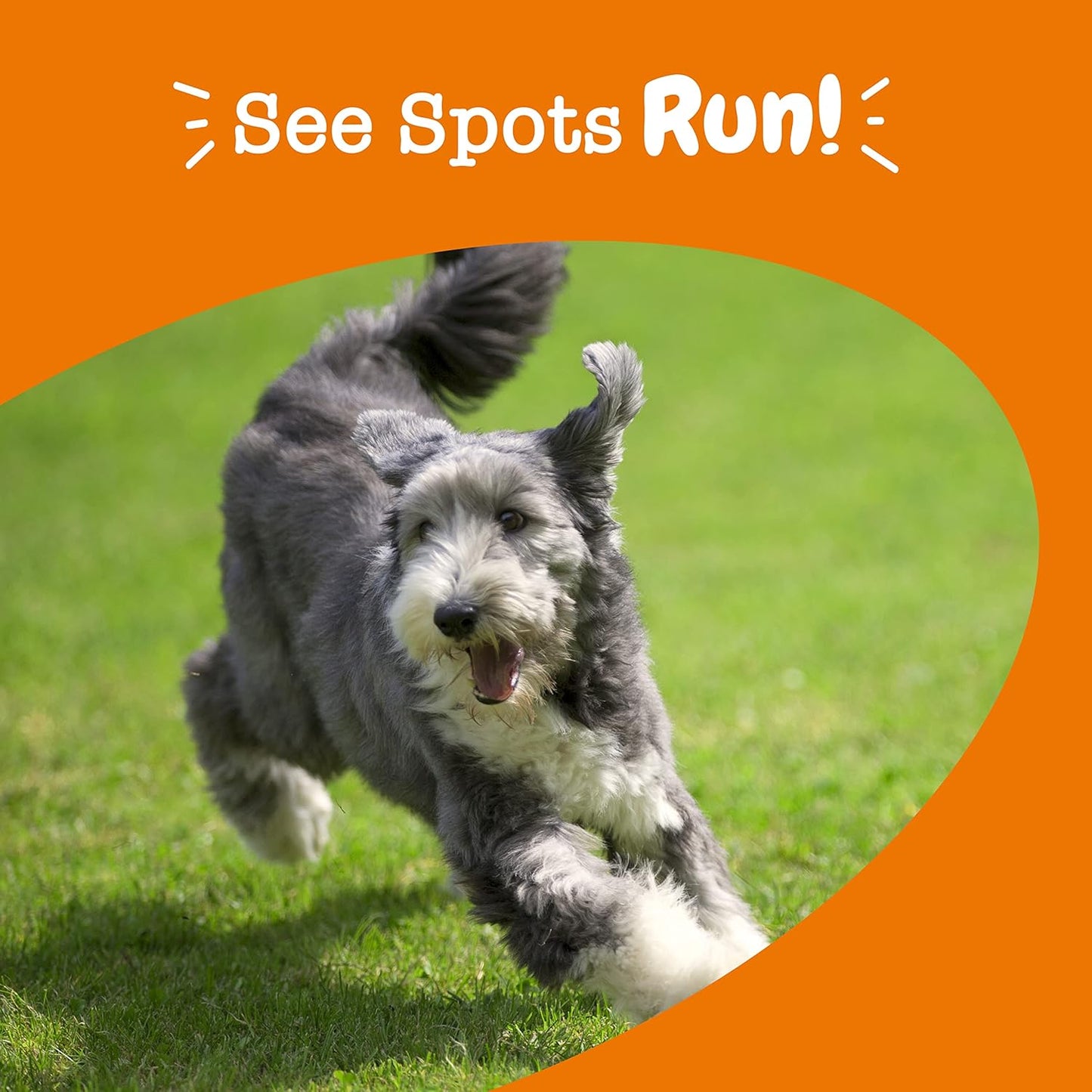 Dog Urine Grass Burn Soft Chews - Zesty Paws Stay Green Bites with Cranberry - Beef Flavor - 90 Count