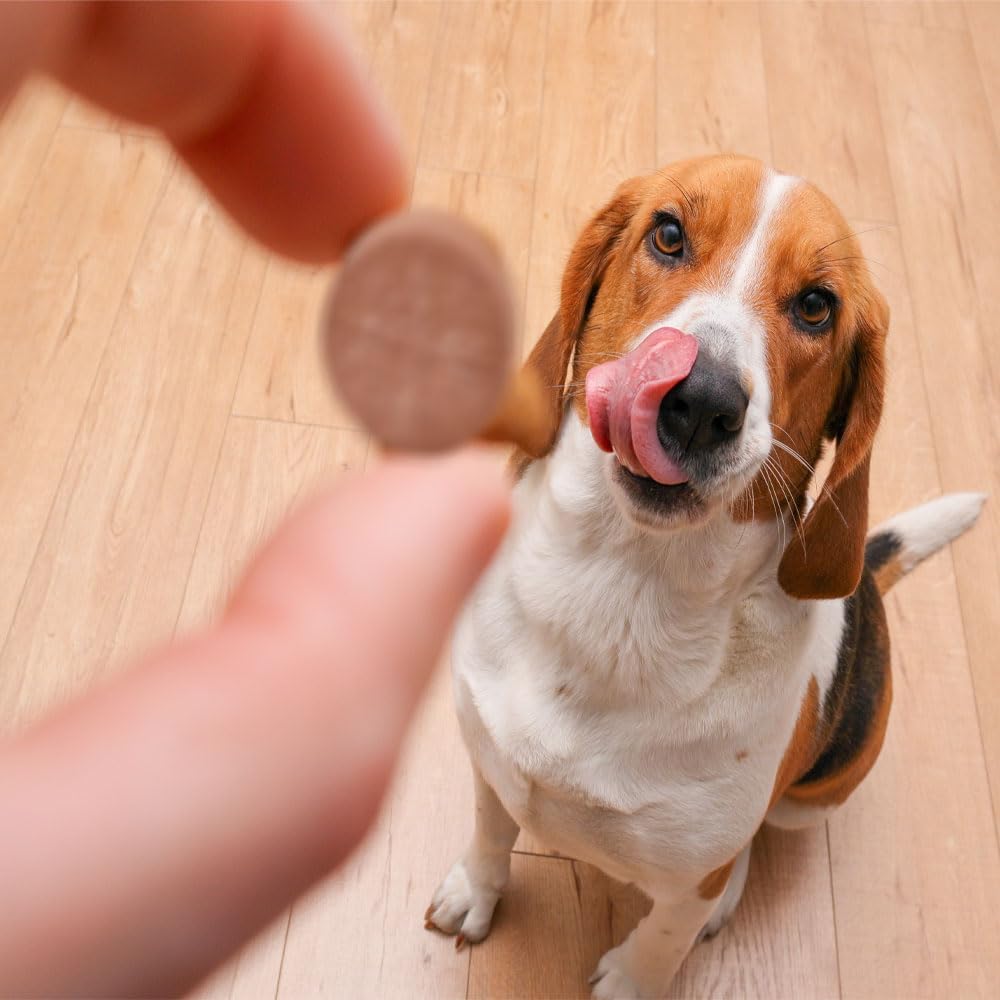 Dog UTI Remedy: K-Plus Potassium Citrate & Cranberry Chewable Tablets - Supports Bladder Health for All Breeds - 100 Tabs