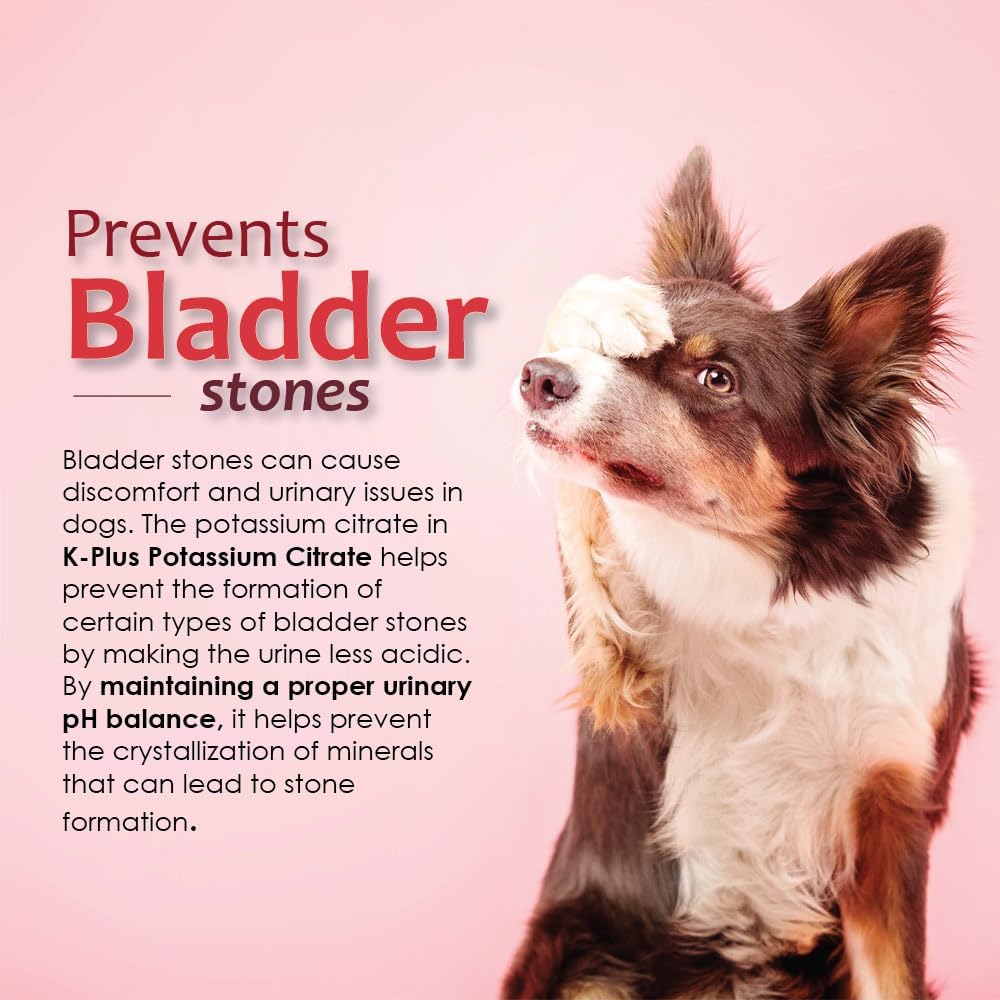 Dog UTI Remedy: K-Plus Potassium Citrate & Cranberry Chewable Tablets - Supports Bladder Health for All Breeds - 100 Tabs