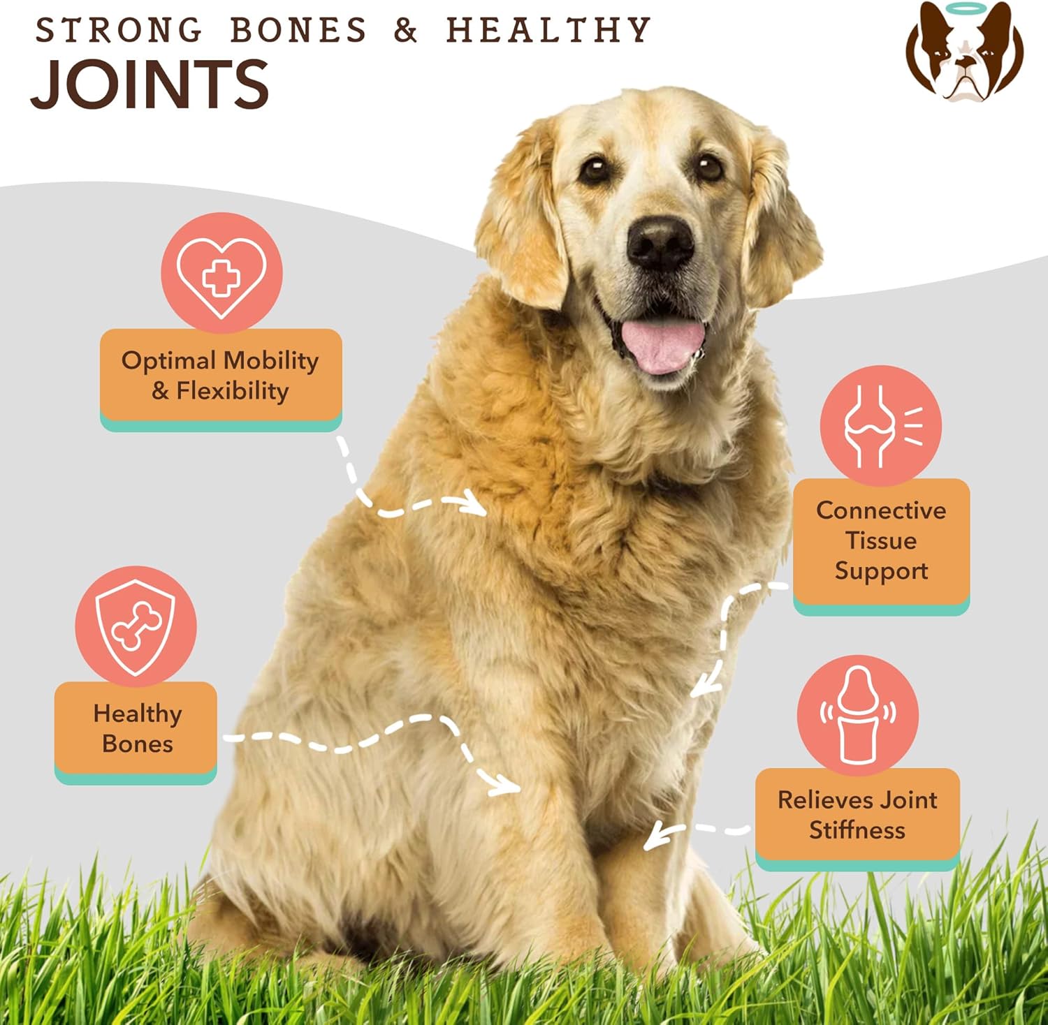 Dog Wellness Bundle: Skin & Coat, Hip & Joint, Glucosamine Supplements for Natural Health