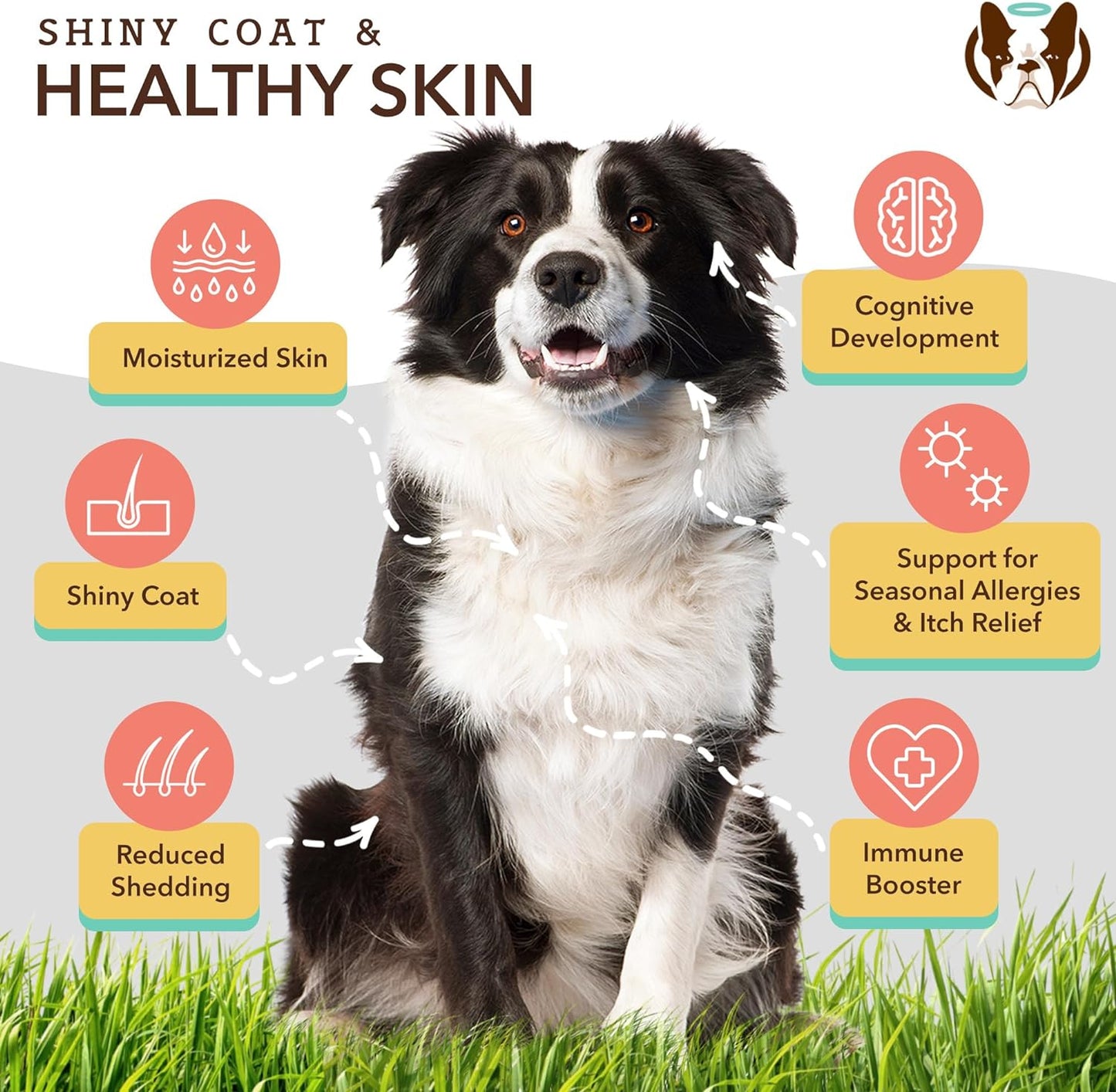 Dog Wellness Bundle: Skin & Coat, Hip & Joint, Glucosamine Supplements for Natural Health